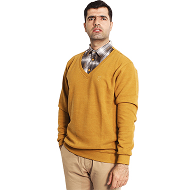 پلیور یقه پیراهنی مردانه کد محصولmon8501